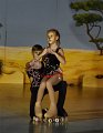 Lionking 0457